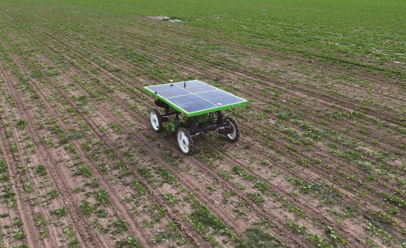 Seeding & Weeding Robot P60