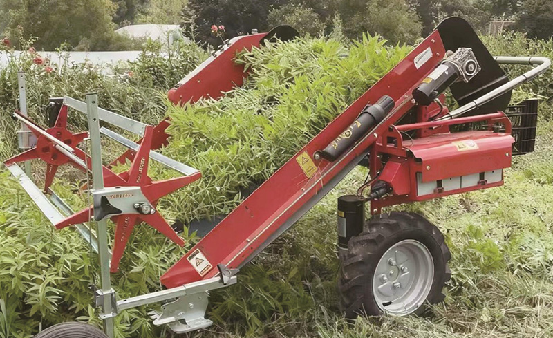 Electric Leafy Vegetable Harvester 4YC-E120