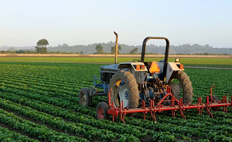 Online Management Service for Agricultural Enterprises