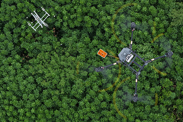 Full‑Scenario Low‑Altitude Service